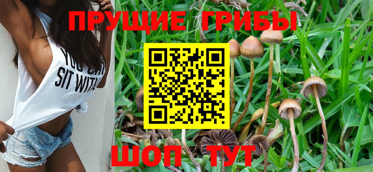Гашиш  Каннабис  МЕФ кристаллы  Кокаин  Севастополь  Вход с VPN 