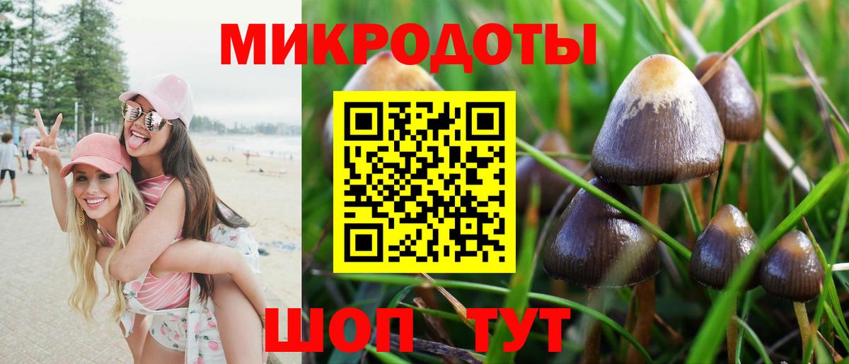 Галлюциногенные грибы Psilocybe  Вход с VPN  Севастополь 